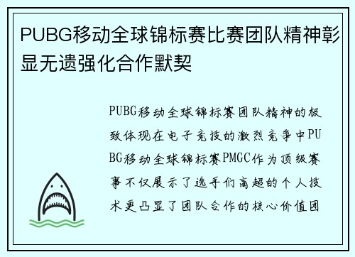 PUBG移动全球锦标赛比赛团队精神彰显无遗强化合作默契