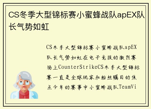 CS冬季大型锦标赛小蜜蜂战队apEX队长气势如虹