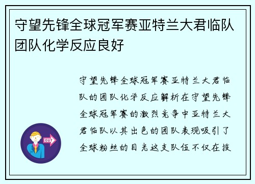 守望先锋全球冠军赛亚特兰大君临队团队化学反应良好