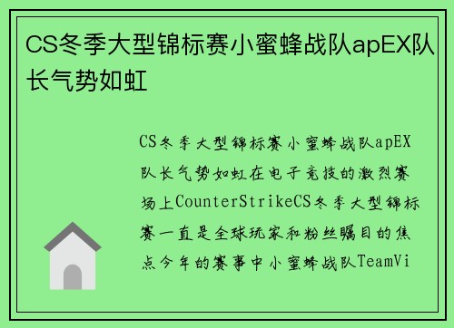 CS冬季大型锦标赛小蜜蜂战队apEX队长气势如虹