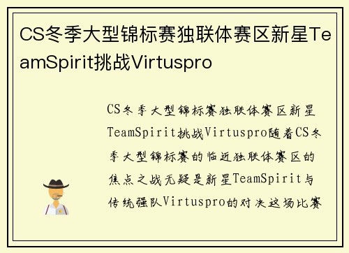 CS冬季大型锦标赛独联体赛区新星TeamSpirit挑战Virtuspro